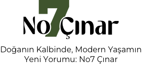 No7 Çınar Logo